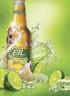 courtesy of Anheuser-Busch