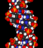 Courtesy of Wikimedia Commons